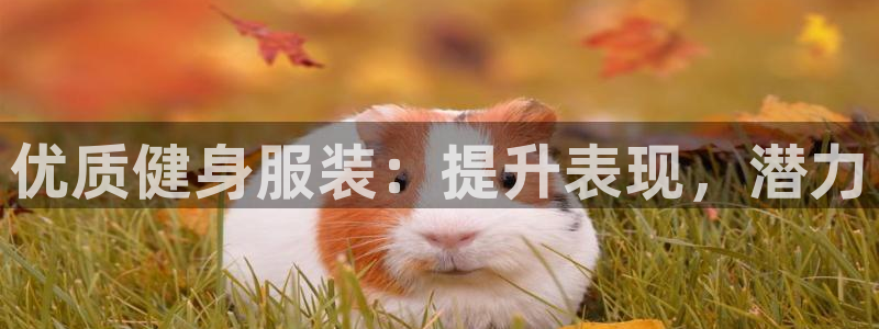意昂2娱乐