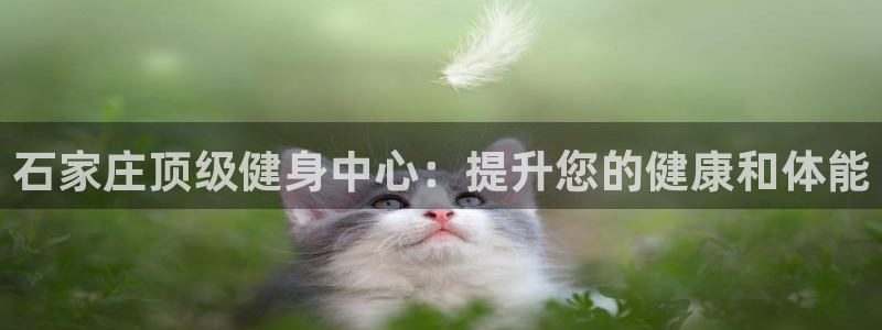 意昂2官方网站