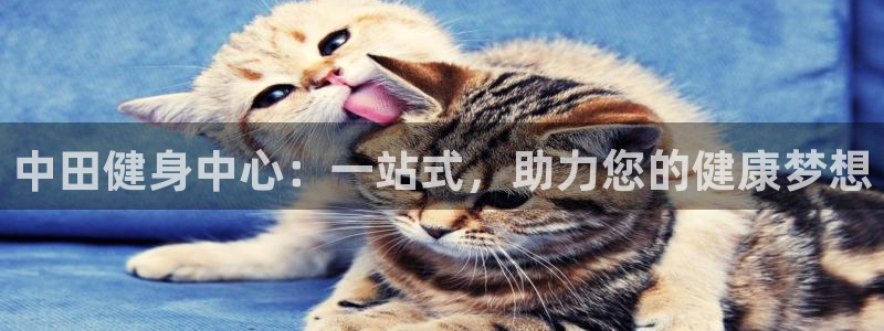 意昂2平台